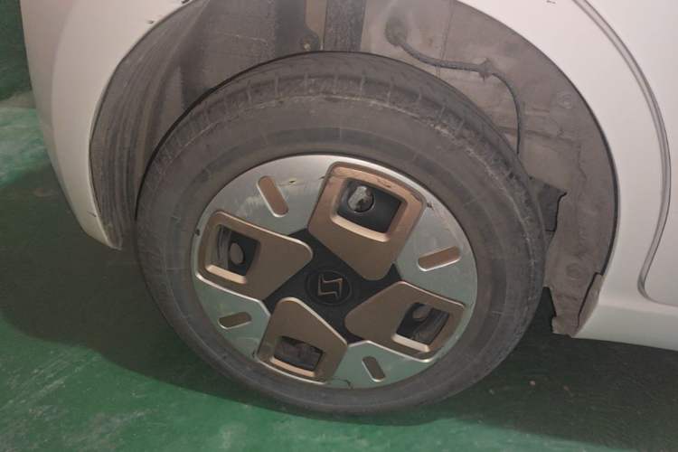 Used SOL E10X 2022 Flower Fairy Design Dandelion Right Rear Wheel Hub