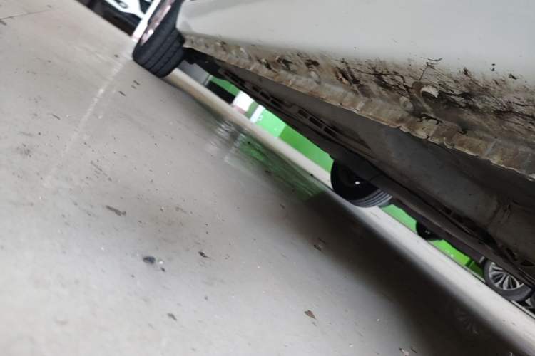 Used SOL E10X 2022 Flower Fairy Style Baby's Breath Right Side Sill