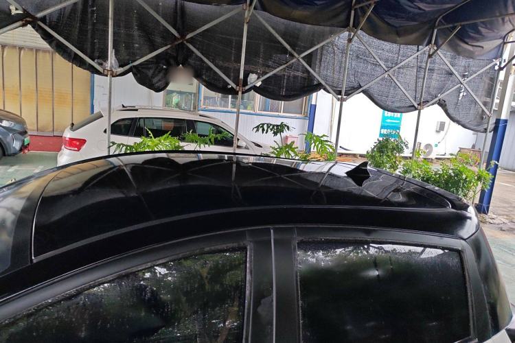 Used SOL E10X 2022 Flower Fairy Design Dandelion Roof