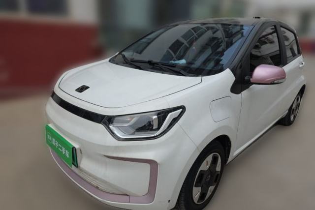 Used SOL E10X 2022 Flower Fairy Design Four-Leaf Clover