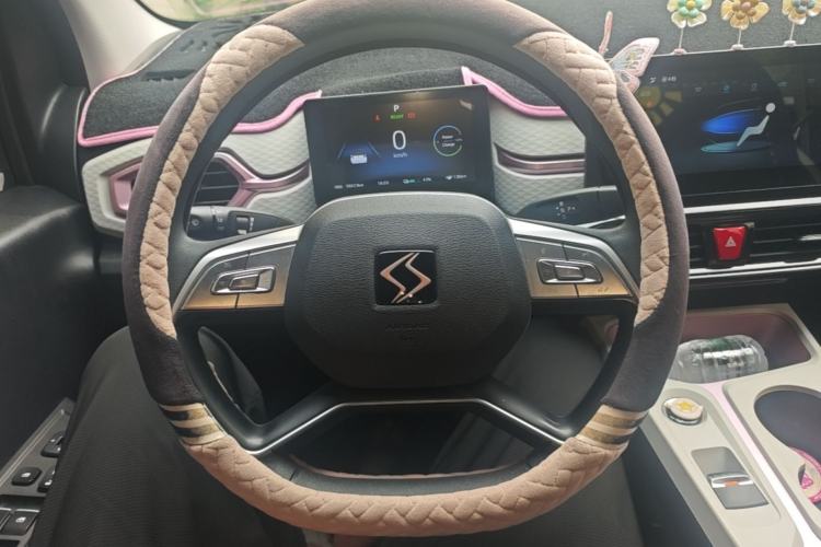 Used SOL E10X 2022 Flower Fairy Design Four-Leaf Clover Steering Wheel