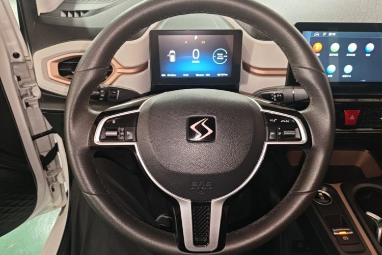 Used SOL E10X 2022 Flower Fairy Design Dandelion Steering Wheel