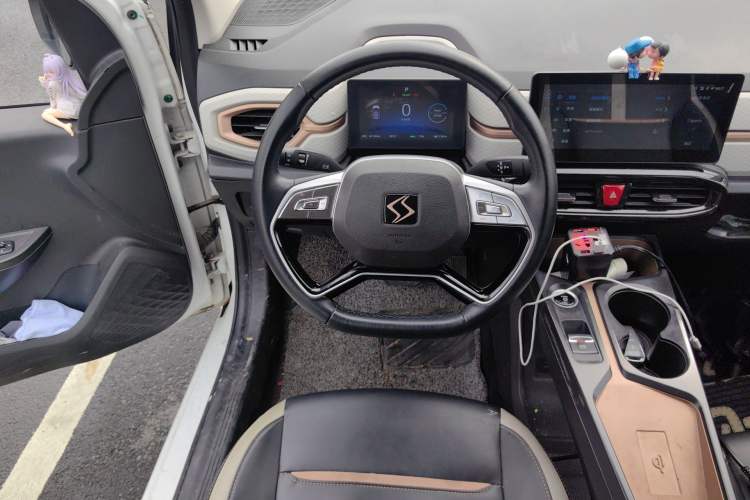 Used SOL E10X 2022 Flower Fairy Style Baby's Breath Steering Wheel