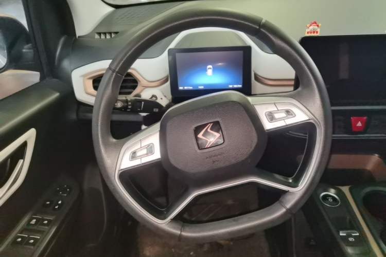 Used SOL E10X 2022 Flower Fairy Design Four-Leaf Clover Steering Wheel