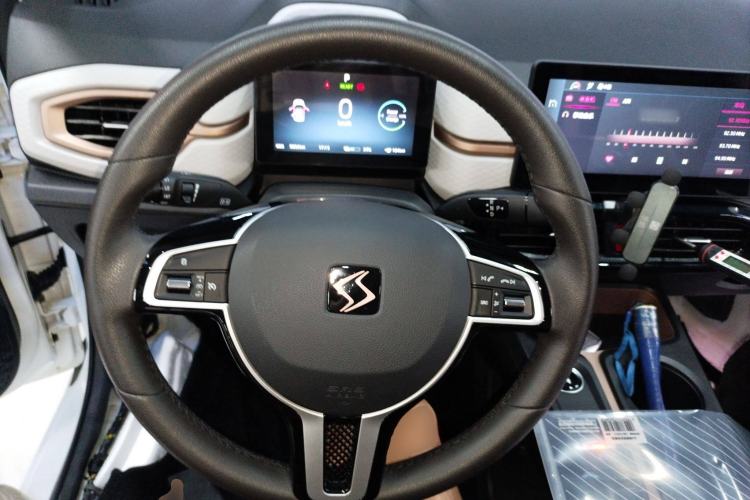 Used SOL E10X 2022 Flower Fairy Design Dandelion Steering Wheel