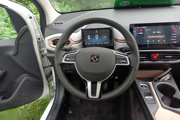 Used SOL E10X 2022 Flower Fairy Design Dandelion Steering Wheel