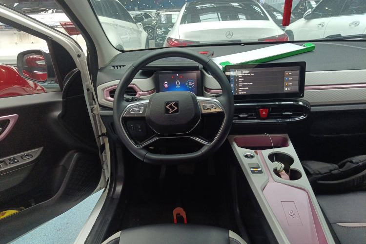 Used SOL E10X 2022 Flower Fairy Style Baby's Breath Steering Wheel