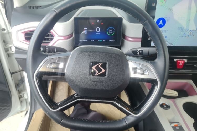 Used SOL E10X 2022 Flower Fairy Style Baby's Breath Steering Wheel