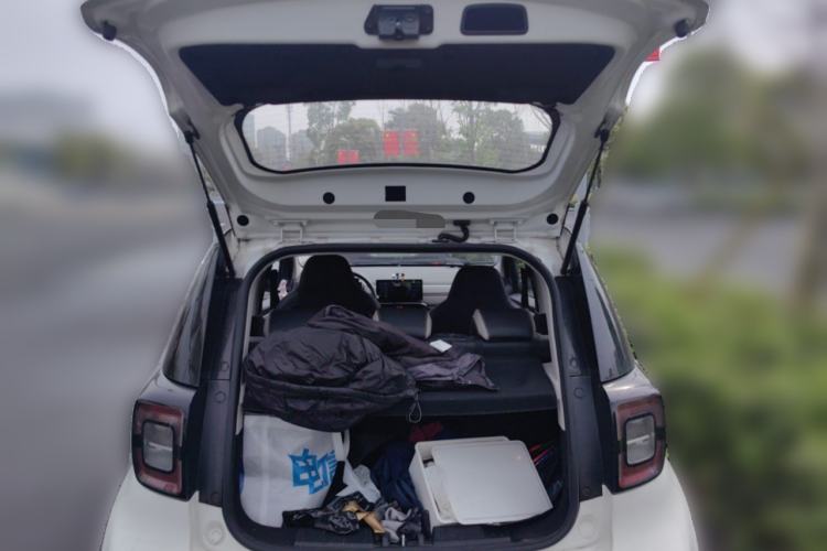 Used SOL E10X 2022 Flower Fairy Style Baby's Breath Trunk