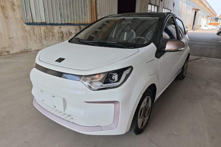 Used SOL E10X 2022 Flower Fairy Design Dandelion Guazi used car, China used car export, Used car for sale, Used cars, Cheapest cars for sale