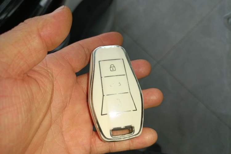 Used SOL E10X 2022 Flower Fairy Style Baby's Breath Vehicle Key