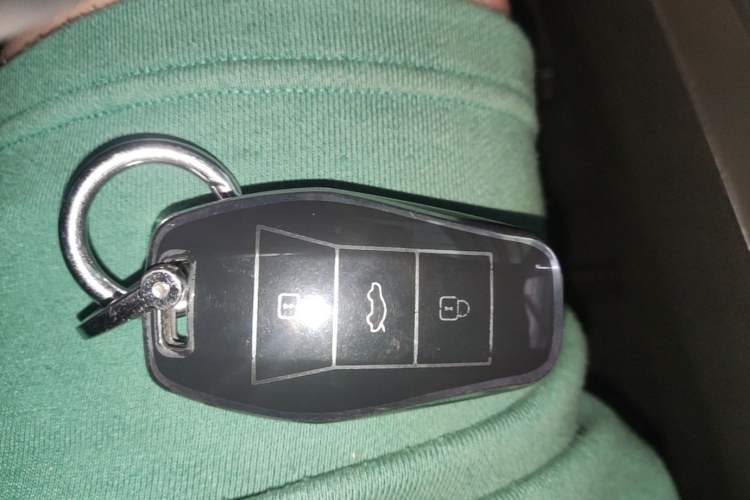 Used SOL E10X 2022 Flower Fairy Style Baby's Breath Vehicle Key