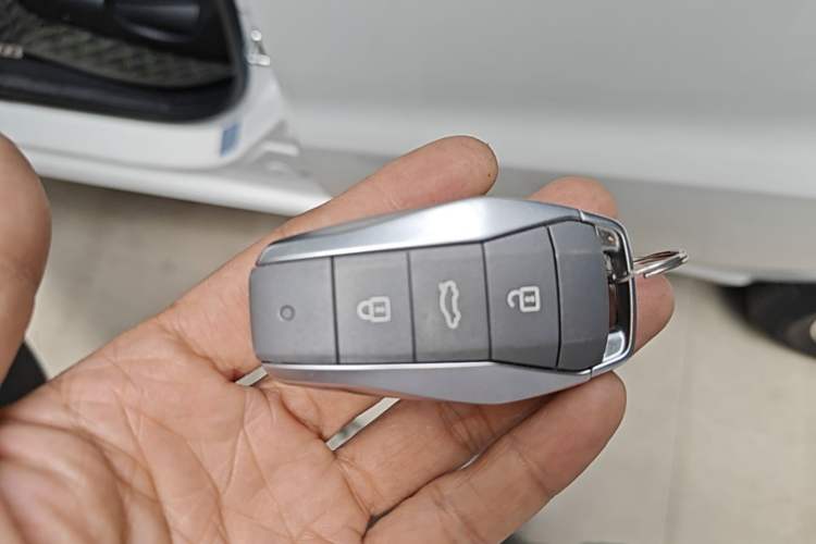 Used SOL E10X 2022 Flower Fairy Style Baby's Breath Vehicle Key