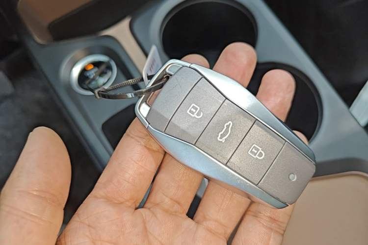 Used SOL E10X 2022 Flower Fairy Style Baby's Breath Vehicle Key