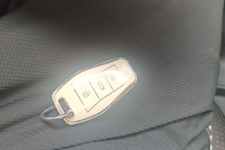 Used SOL E10X 2022 Flower Fairy Design Four-Leaf Clover Vehicle Key