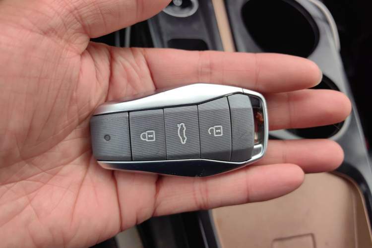 Used SOL E10X 2022 Flower Fairy Style Baby's Breath Vehicle Key