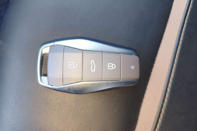 Used SOL E10X 2022 Flower Fairy Design Four-Leaf Clover Vehicle Key
