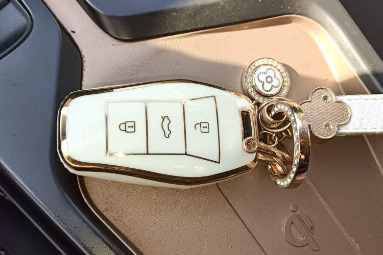 Used SOL E10X 2022 Flower Fairy Design Four-Leaf Clover Vehicle Key