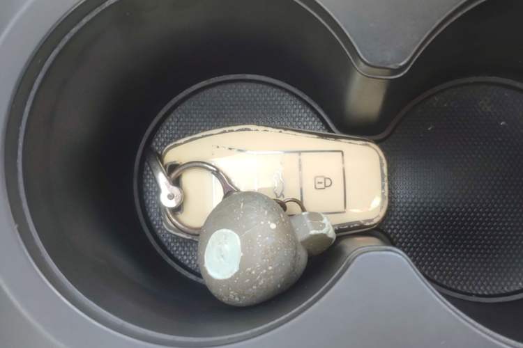 Used SOL E10X 2022 Flower Fairy Style Baby's Breath Vehicle Key