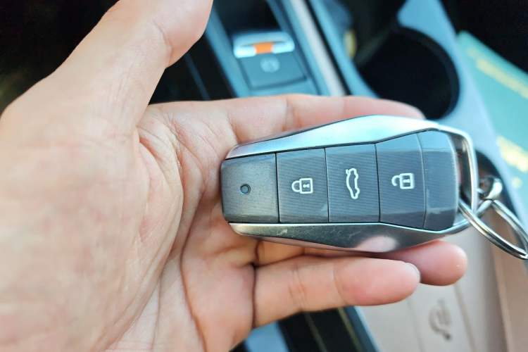 Used SOL E10X 2022 Flower Fairy Style Baby's Breath Vehicle Key