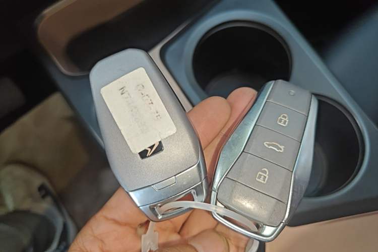 Used SOL E10X 2022 Flower Fairy Style Baby's Breath Vehicle Key