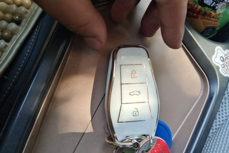 Used SOL E10X 2022 Flower Fairy Design Four-Leaf Clover Vehicle Key