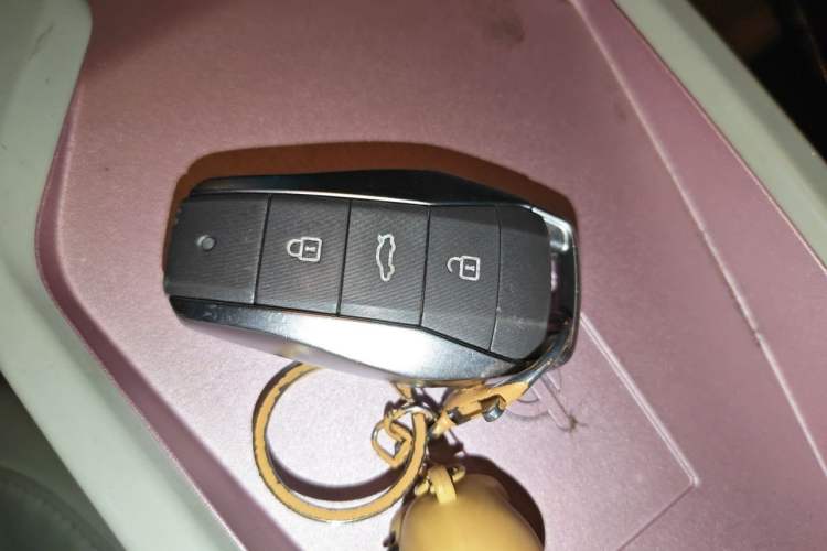 Used SOL E10X 2022 Flower Fairy Design Four-Leaf Clover Vehicle Key