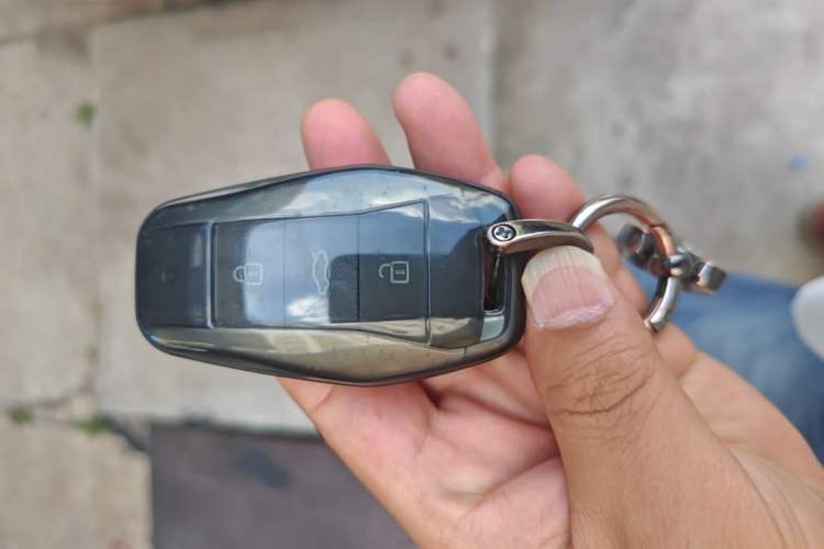 Used SOL E10X 2022 Flower Fairy Style Baby's Breath Vehicle Key