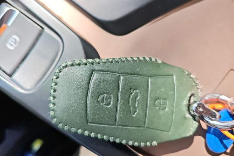 Used SOL E10X 2022 Flower Fairy Design Four-Leaf Clover Vehicle Key