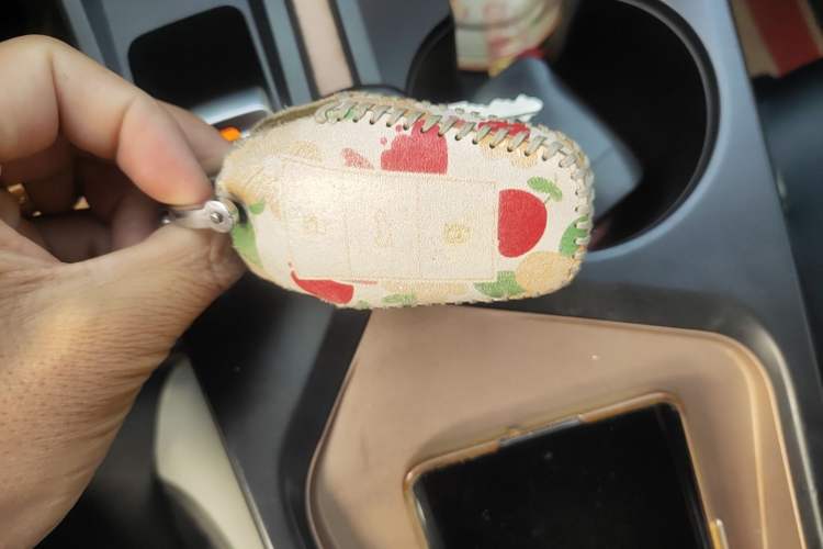 Used SOL E10X 2022 Flower Fairy Design Dandelion Vehicle Key