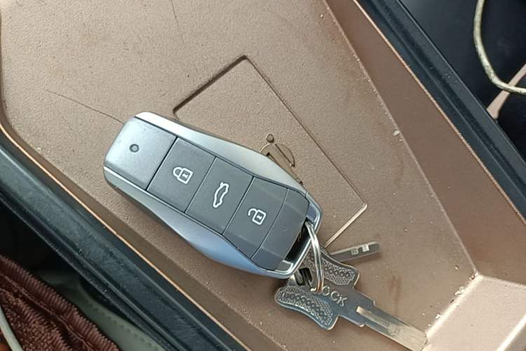 Used SOL E10X 2022 Flower Fairy Design Four-Leaf Clover Vehicle Key