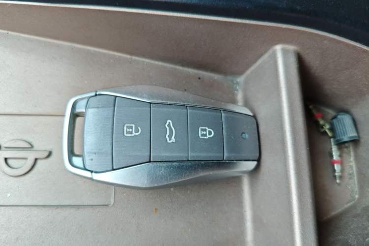 Used SOL E10X 2022 Flower Fairy Design Four-Leaf Clover Vehicle Key