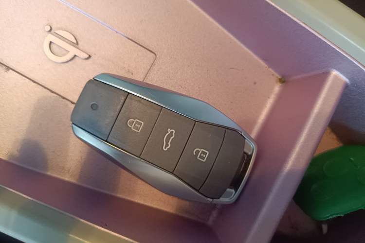Used SOL E10X 2022 Flower Fairy Style Baby's Breath Vehicle Key
