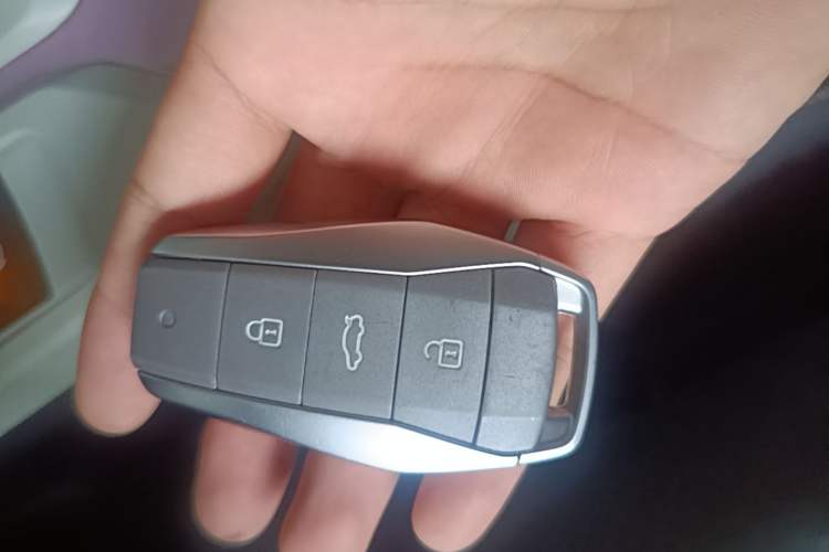 Used SOL E10X 2022 Flower Fairy Style Baby's Breath Vehicle Key