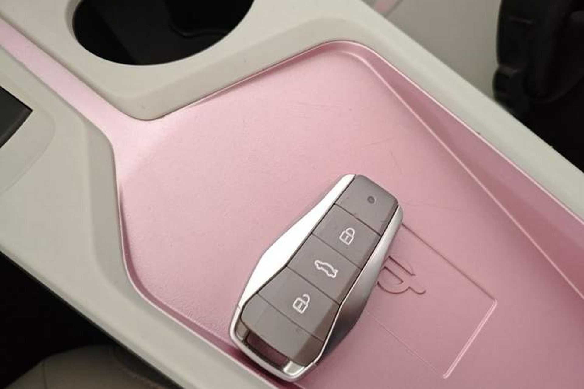 Used SOL E10X 2022 Flower Fairy Style Baby's Breath Vehicle Key
