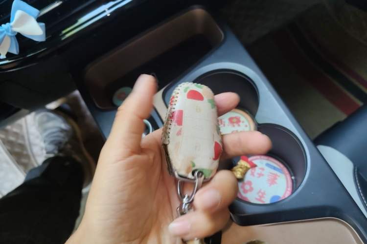 Used SOL E10X 2022 Flower Fairy Design Dandelion Vehicle Key