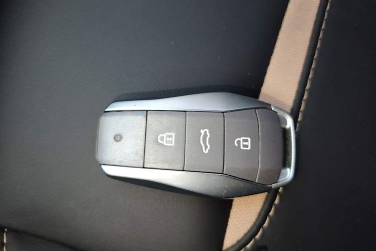 Used SOL E10X 2022 Flower Fairy Design Four-Leaf Clover Vehicle Key
