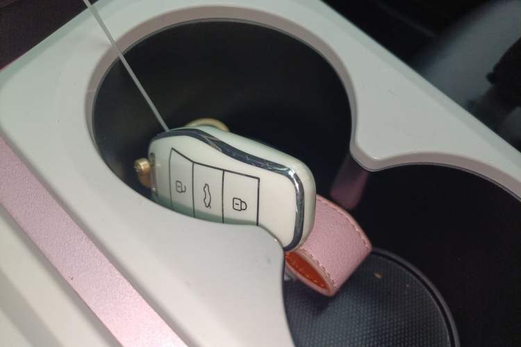 Used SOL E10X 2022 Flower Fairy Style Baby's Breath Vehicle Key