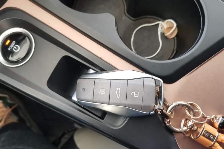 Used SOL E10X 2022 Flower Fairy Style Baby's Breath Vehicle Key