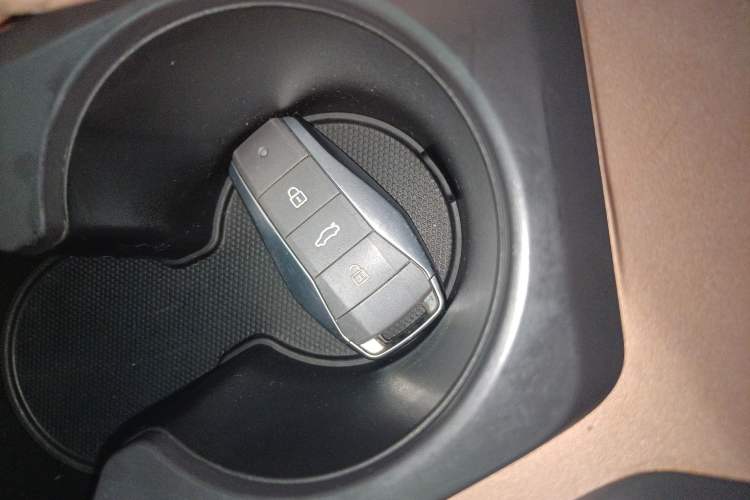 Used SOL E10X 2022 Flower Fairy Style Baby's Breath Vehicle Key