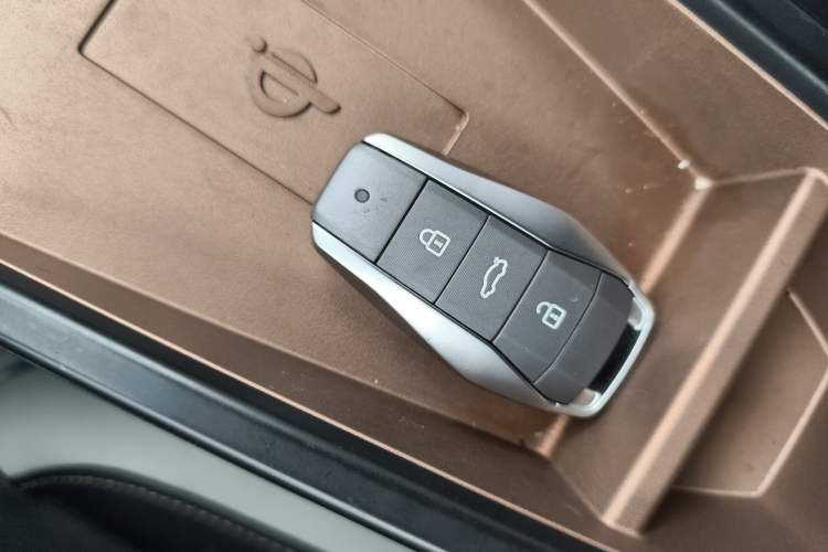 Used SOL E10X 2022 Flower Fairy Style Baby's Breath Vehicle Key