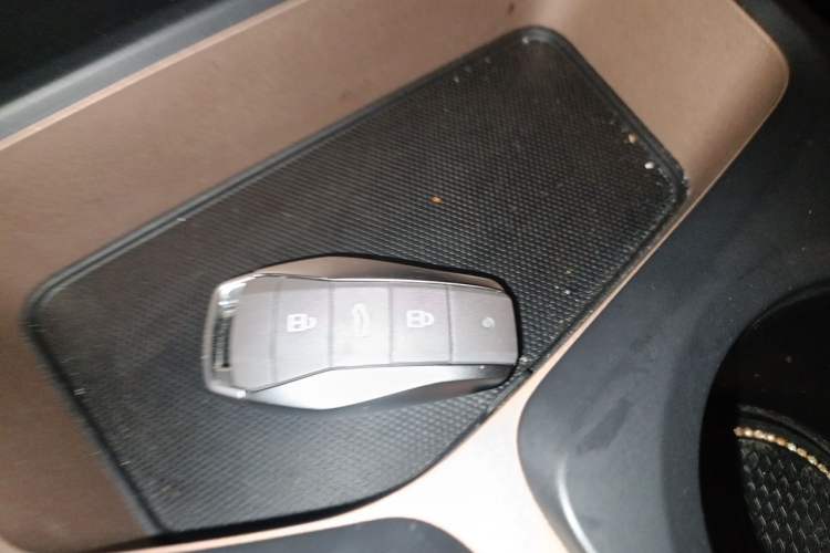 Used SOL E10X 2022 Flower Fairy Style Baby's Breath Vehicle Key