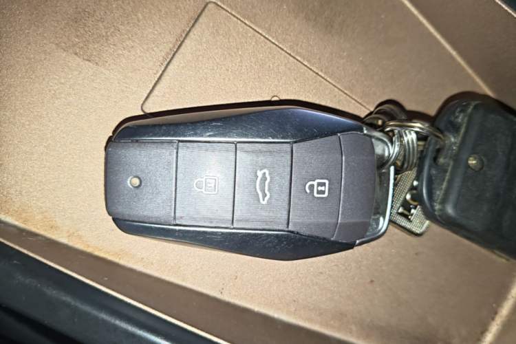 Used SOL E10X 2022 Flower Fairy Design Four-Leaf Clover Vehicle Key