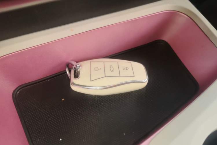 Used SOL E10X 2022 Flower Fairy Style Baby's Breath Vehicle Key