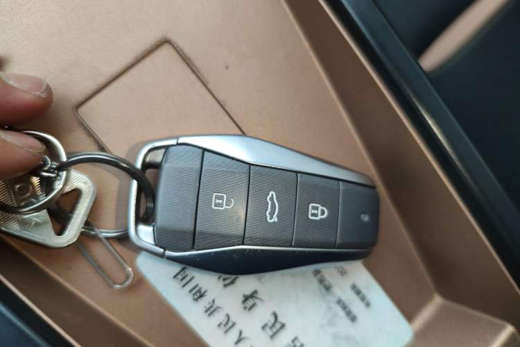 Used SOL E10X 2022 Flower Fairy Style Baby's Breath Vehicle Key