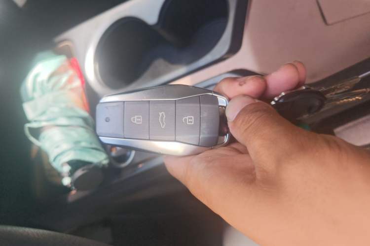 Used SOL E10X 2022 Flower Fairy Style Baby's Breath Vehicle Key
