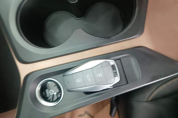 Used SOL E10X 2022 Flower Fairy Style Baby's Breath Vehicle Key