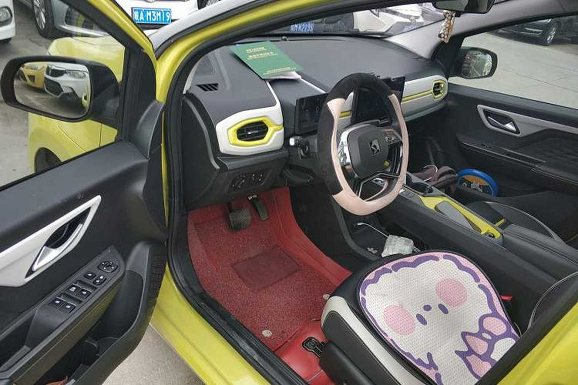 Used SOL E10X 2022 Flower Fairy Style Baby's Breath Driver Seat