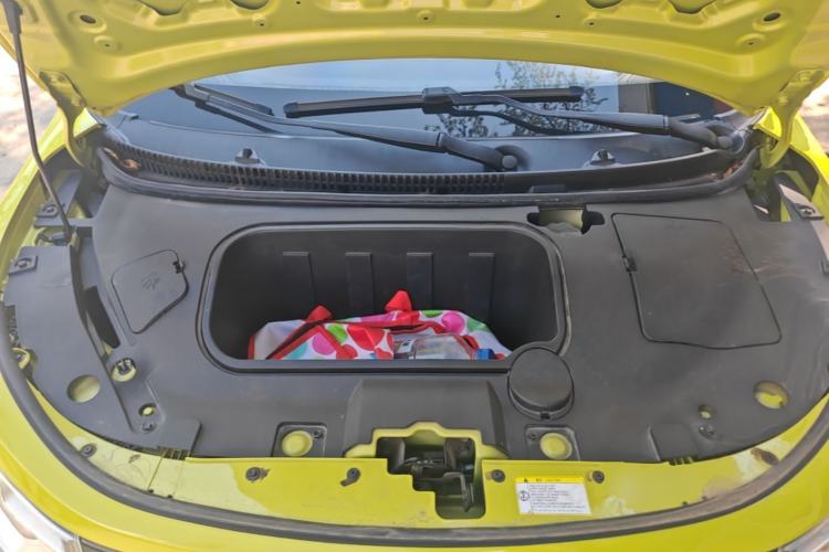 Used SOL E10X 2022 Flower Fairy Style Baby's Breath Engine Bay