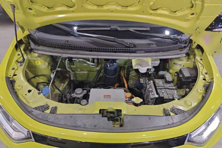 Used SOL E10X 2022 Flower Fairy Style Baby's Breath Engine Bay